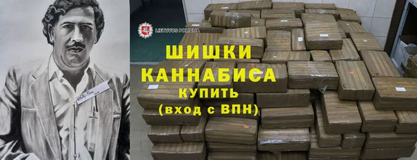 гидра Струнино