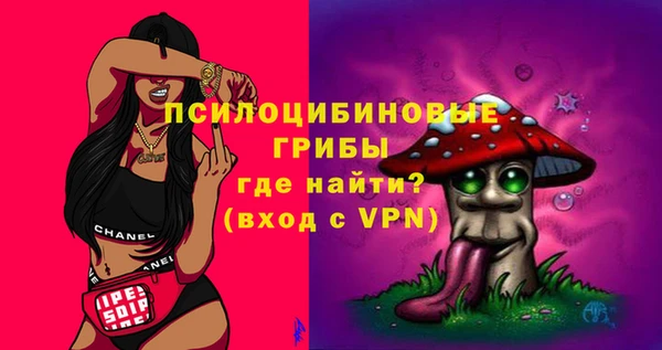 гидра Струнино