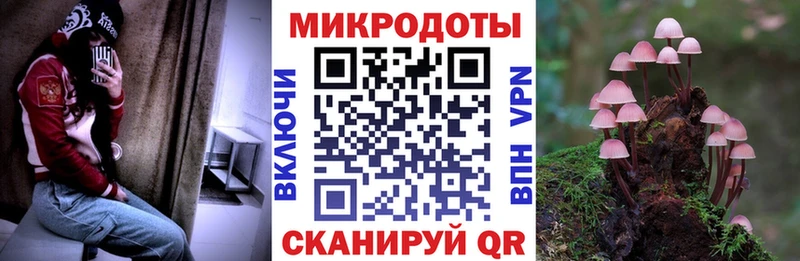 Псилоцибиновые грибы Cubensis  наркошоп  Новая Усмань 